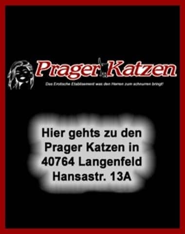 #15581 Prager Katzen en Langenfeld