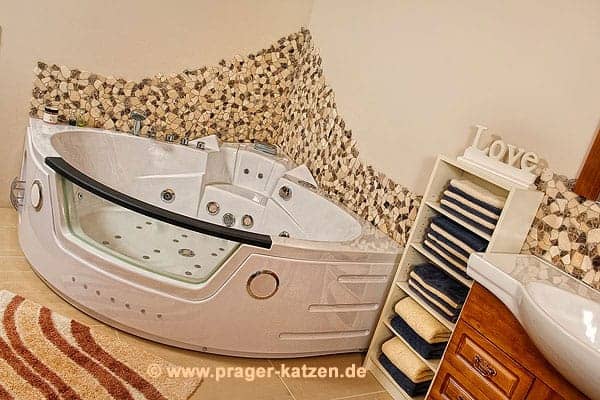#7730 Prager Katzen à Langenfeld
